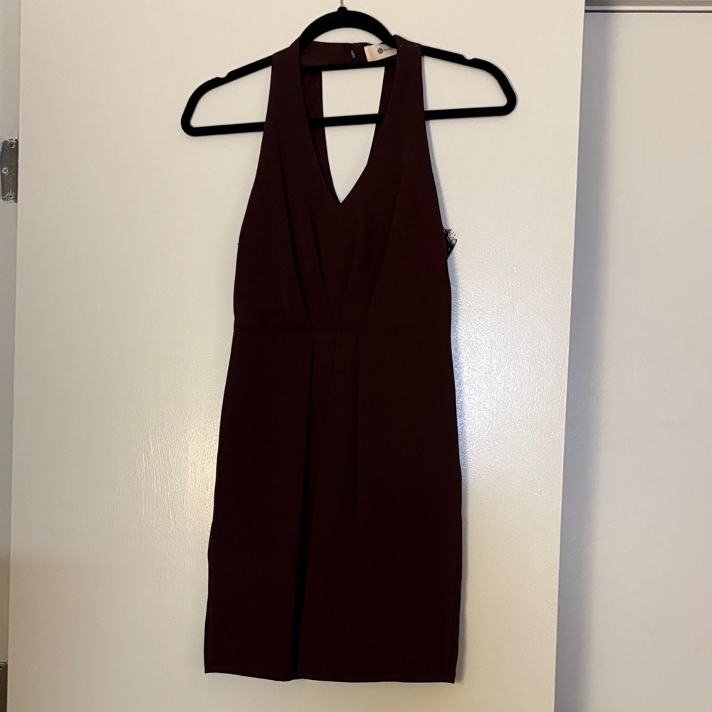 The Impeccable Pig Deep Burgundy Mini Dress